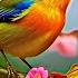Soothing Music For Nerves Healing Music For The Heart And Blood Vessels Relaxation Music For Soul