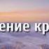 Базара нет нижней казанищ бомба