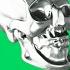 Mind Blowing Green Screen 3D Skull Animation