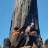 Massive Tree Collapse Causes The Ground To Tremble Trending Trendingshorts Shorts