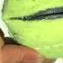 Screaming Tennis Ball