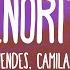 Shawn Mendes Camila Cabello Señorita Lyrics