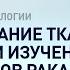 Использование тканевых матриц при изучени панели ИГХ маркеров рака поджелудочной железы