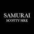 Samurai By Scotty Sire Lyrics