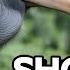 Are Shoebills The Most Dangerous Birds In The World