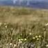 Altai Full Version