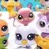 Littlest Pet Show Выпуск 5 Цикличная мода
