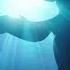 Simon Franglen Leaving Home From Avatar The Way Of Water Audio Only