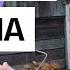 В ГОСТЯХ У ТЁЩИ Обзор канала