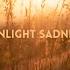 Sunlight Sadness