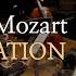 Mozart Coronation Mass K317 대관식 미사 서울모테트청소년합창단 Seoul Motet Youth Choir