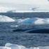 Storming Antarctica Full Episode Continent 7 Antarctica