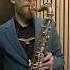 Vernisāža Вернисаж R Pauls Laima Vaikule Saxophone Cover By Bearded Saxophonist