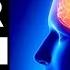 BRAIN HEALING SOUNDS DOCTOR DESIGNED FOR STUDY MEDITATION MEMORY FOCUS 100 RESULTS