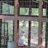 How To Build A Chicken Run Easy DIY Predatory Proof Building A Chicken Run