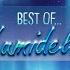 Best Of Lumidelic Vol 2 Mixed By Lumidelic