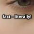 5 Fun Facts About Your Eyes Facts