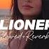 Bilionera Slowed Reverb Otilia