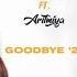 Goodbye 21 Feat ARITMIYA