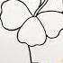 Hibiscus Flower Drawing