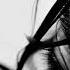 Don T Be Shy Filatov Karas Remix Imany Slowed Down Reverb