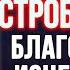 БЛАГОДАТНОЕ ИСЦЕЛЕНИЕ И ЯВЛЕНИЕ МИЛОСТИ Акафист Пресвятой Богородице Остробрамская Виленская молитва