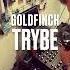 TRYBE By GOLDFINCH 09 2024 Afro Latin Organic Melodic House DJ Mix