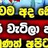 ස ද දකරන න ක ව වම ඔහ මත ඩ සර කරනවද මල ල ප ර ව ට ල ආන අඬනවල Anura Kumara News Today