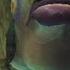 Let S Play The Legend Of Zelda Twilight Princess Part 25