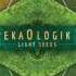 EkaOlogik Light Seeds Full Album