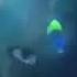 Marlin And Dory S Watch Out Grover Screaming