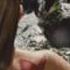 DOV E L AMORE CHER HD
