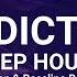 Addicted Deep House Mix Niche Revival Mix Selected Mix 2024 Deep House Mix Organ Bassline