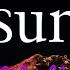 Reading Aloud Midnight Sun By Stephenie Meyer Chapter 19 Home