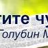 Берегите чувства Голубин Михаил Проповедь МСЦ ЕХБ