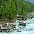 Beautiful Nature River Flowing In Canada 4k Relaxing River Sounds Nature White Noise For Sleeping