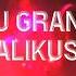 MJ GRAND Çalıkuşu Королек птичка певчая REMIX TRAP МУЗЫКА