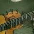 Instrumental 009 Instrumental Instrumentals Instrumentalmusic музыканты гитара гитарист