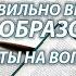 Как правильно выстроить самообразование Ответы на вопросы