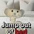 Jump Outta Bed Meme Bear Alpha Roblox Bear Roblox Bearalpharoblox Memes