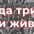 Превью Легенды Старой Гвардии