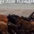 Гимн села Загустай Кижингинский район