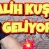 8 15 KASIM BAŞAK BURCU TAROT FALI VE KATİNA FALI HAYALLERİN YAKINDA GERÇEKLEŞİCEK SEZGİLERİNE GÜVEN