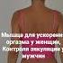Тренировка мышцы леватор ани