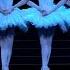 Swan Lake Tchaikovsky Dance Of The Little Swans