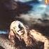 Обзор Винила OZZY OSBOURNE BARK AT THE MOON 1983