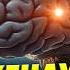 Почему мы верим в лженауку Топ 5 когнитивных ошибок Ученые против мифов 23 14 Оксана Зинченко