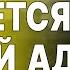 ВСЁ СИСТЕМА СОЖРАЛА ЗЕЛЕНСКОГО ХОМЯК ВЫБОРЫ В США ПЕРЕВЕРНУТ ВОЙНУ