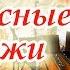 Пишутся прекрасные пейзажи ансамбль бандуристов Молодёжное г Ковель 2019 г Псалом МСЦ ЕХБ