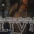 Мэддисону дали напарника в The Elder Scrolls IV Oblivion 10